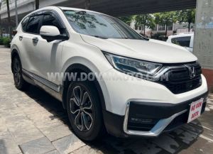 Xe Honda CRV L 2020